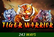 Tiger Warrior - BETPLAY138